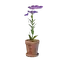 Tiny Pink Flower Pot