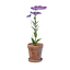 Tiny Pink Flower Pot