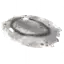 Sealskin Rug
