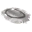 Sealskin Rug