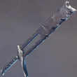 Enshrouded Stonewrought Sword.webp