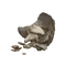 Elden-ring human-bone-shard.webp