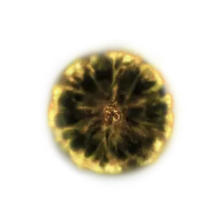 Shadow Realm Rune [7]
