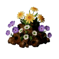 Flower Soil