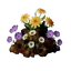 Flower Soil