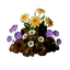 Flower Soil