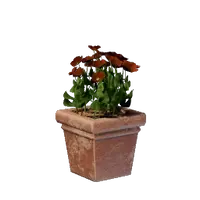 Square Red Flower Pot