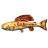 Cooked Arctic Grayling