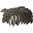 Slaughterfish Scales