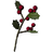 Snowberries