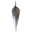 Elden-ring carian-thrusting-shield.webp