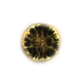 Shadow Realm Rune [5]