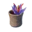 Spiced Tea
