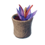 Spiced Tea