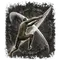 Elden-ring ash-of-war-double-slash.webp