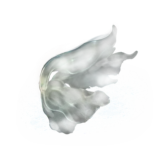 Nascent Butterfly