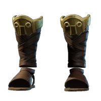 Sunpiercer Shoes