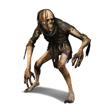 Wight