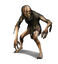 Wight