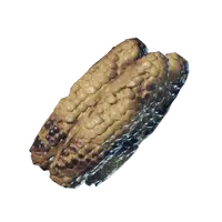 Roasted Corncob