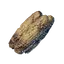 Roasted Corncob