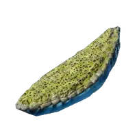 Shroud Liquid
