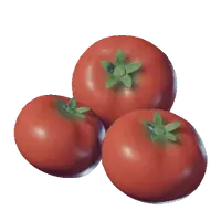 Tomato