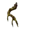 Elden-ring immunizing-horn-charm.webp