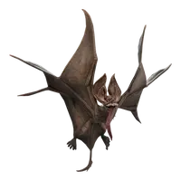 Bat