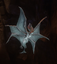 Bat
