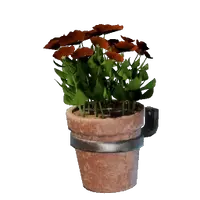 Small Red Wall Flower Pot