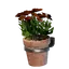 Small Red Wall Flower Pot