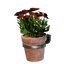 Small Red Wall Flower Pot