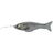 Glass Catfish