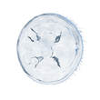 Elden-ring jellyfish-shield.webp