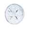 Elden-ring jellyfish-shield.webp