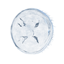 Elden-ring jellyfish-shield.webp