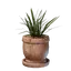 Medium Grass Pot