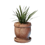 Medium Grass Pot