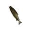 Rotten Shorefish