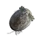 Elden-ring clawmark-seal.webp