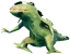Neck