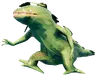 Neck