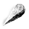 Elden-ring somber-smithing-stone-6.webp