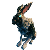 Hare