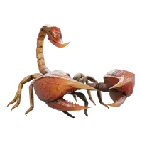 Flaming Scorpion