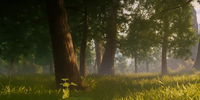 Springlands