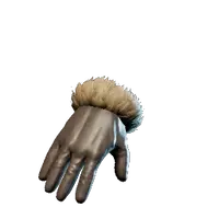 Winterly Gloves