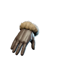 Winterly Gloves