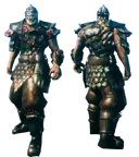 Carapace Armor